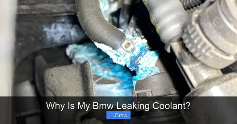 Why Is My Bmw Leaking Coolant?