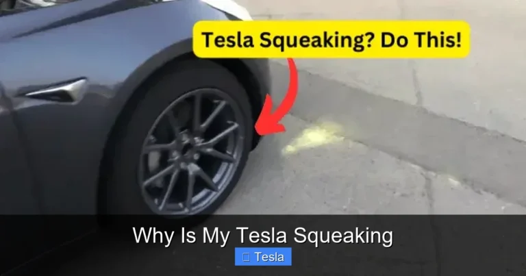 Why Is My Tesla Squeaking
