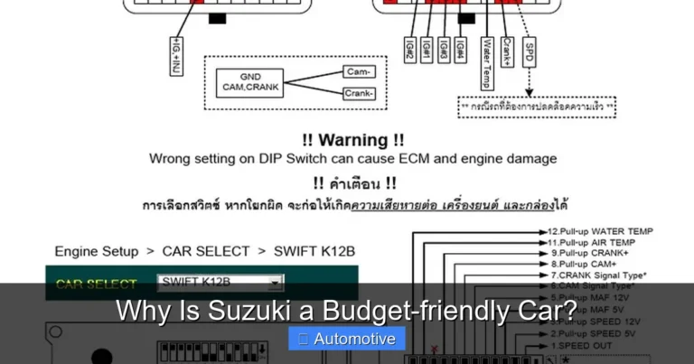 Why Is Suzuki a Budget-friendly Car?