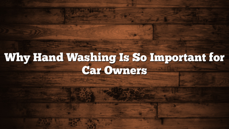 Why Hand Washing Is So Important for Car Owners