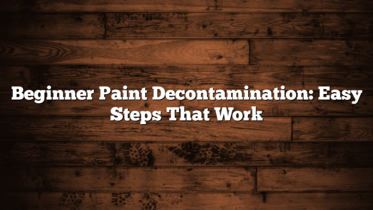 Beginner Paint Decontamination: Easy Steps That Work