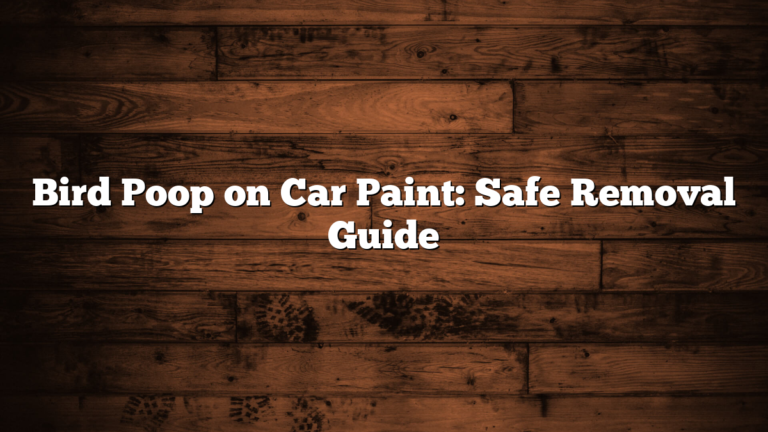 Bird Poop on Car Paint: Safe Removal Guide