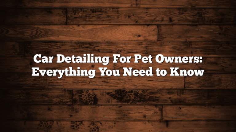 Car Detailing For Pet Owners: Everything You Need to Know