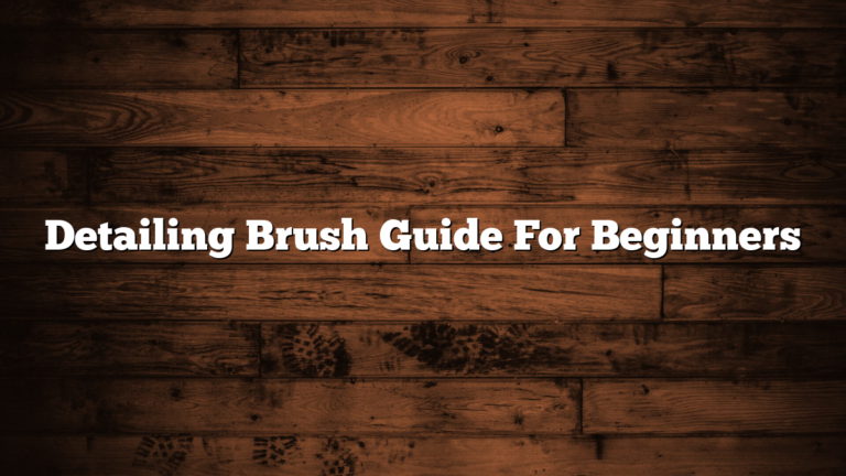 Detailing Brush Guide For Beginners