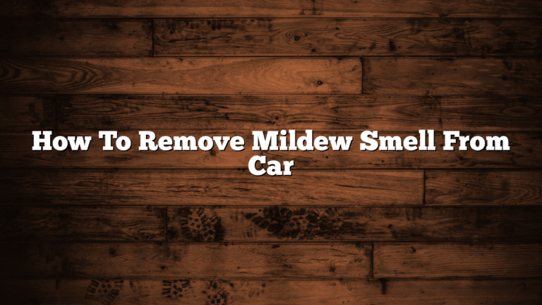 How To Remove Mildew Smell From Car