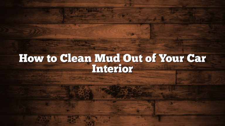 How to Clean Mud Out of Your Car Interior
