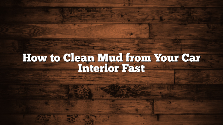 How to Clean Mud from Your Car Interior Fast