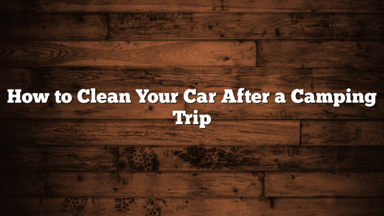 How to Clean Your Car After a Camping Trip