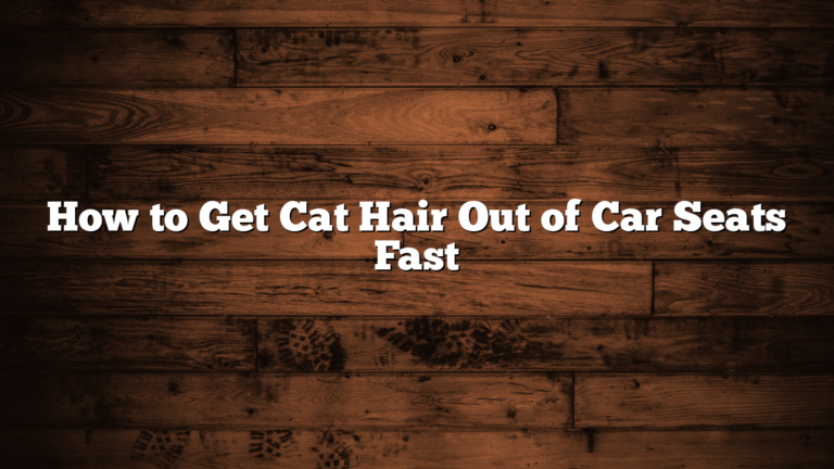 How to Get Cat Hair Out of Car Seats Fast