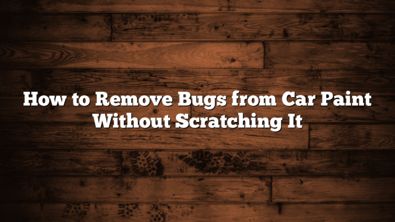 How to Remove Bugs from Car Paint Without Scratching It