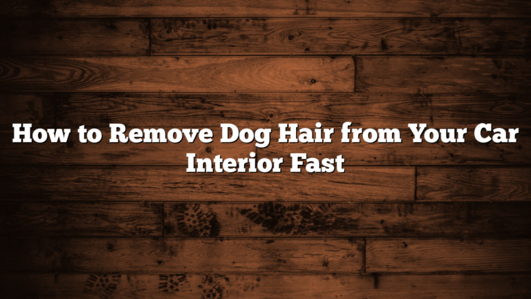 How to Remove Dog Hair from Your Car Interior Fast
