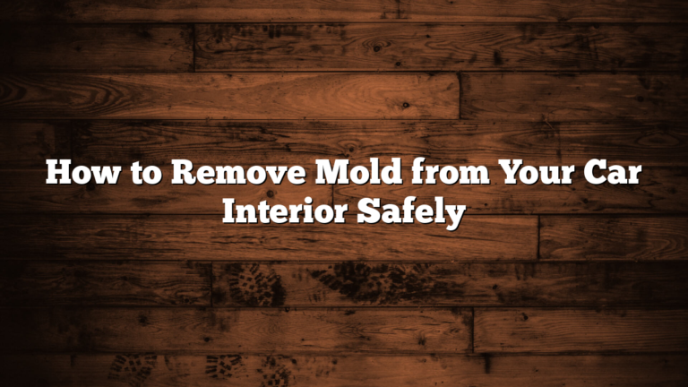 How to Remove Mold from Your Car Interior Safely