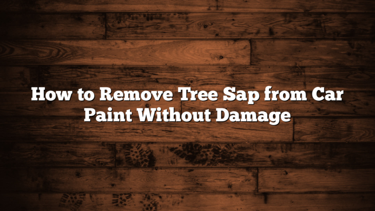 How to Remove Tree Sap from Car Paint Without Damage