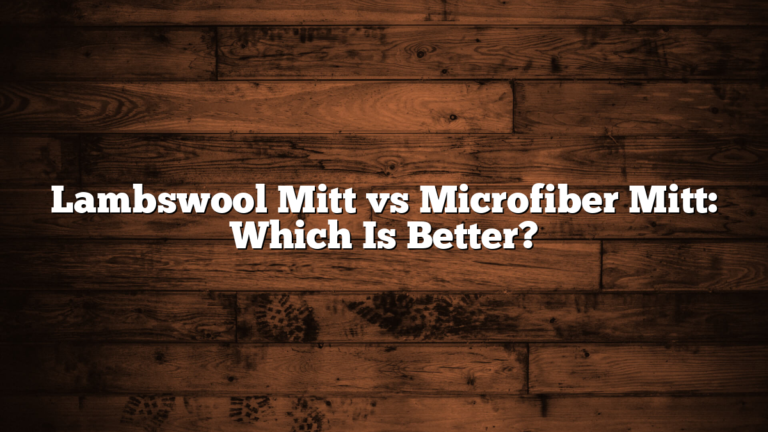 Lambswool Mitt vs Microfiber Mitt: Which Is Better?