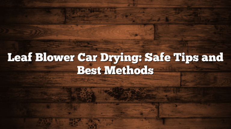 Leaf Blower Car Drying: Safe Tips and Best Methods