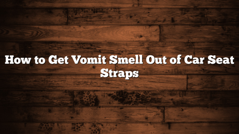 How to Get Vomit Smell Out of Car Seat Straps