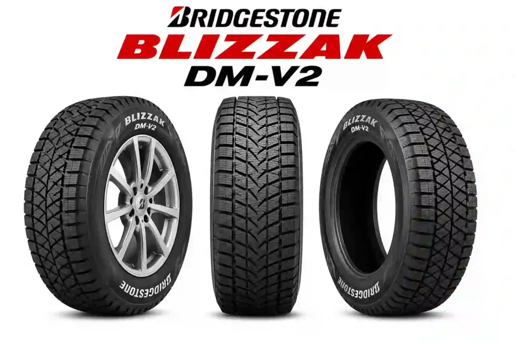 Bridgestone Blizzak DM-V2